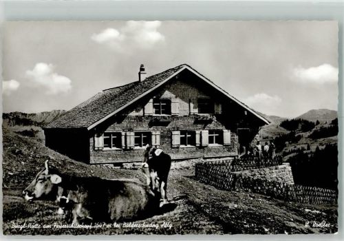 Balderschwang Gasthaus Pension Bürg-Hütte Kühe