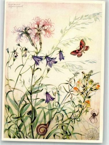 sign. Schneegans, Marianne Glockenblume mit Schmetterling und Schnecke