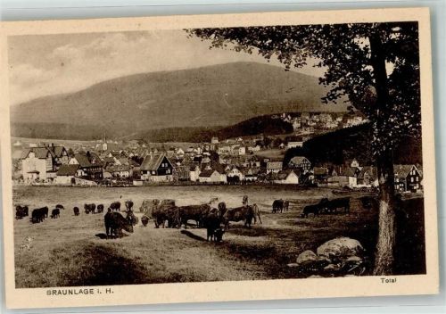 Hohegeiß