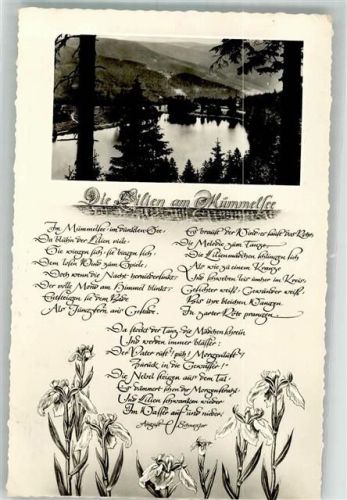 Seebach 1960 Die Lilien am Mümmelsee Gedicht