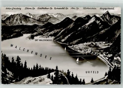 Walchensee Vogelschau Walchensee
