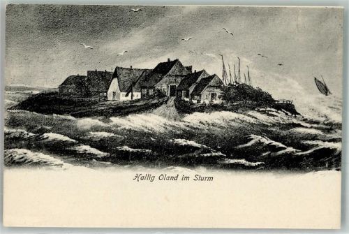 25863 W2251 Oland , Hallig - Hallig Oland im Strum