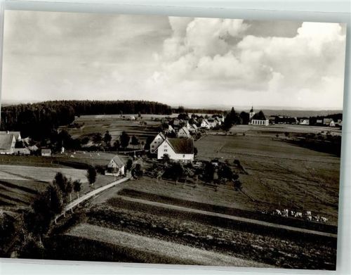 Schömberg Kühe