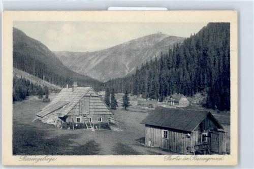 Hirschberg im Riesengebirge Partie im Riesengrund