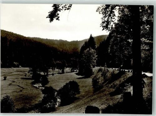 Altensteig Nagoldtal