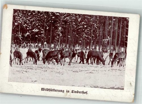 Linderhof 1909 Wildfütterung in Linderhof