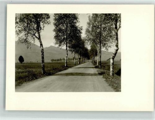Schlehdorf Birkenallee Ort handschriftlich