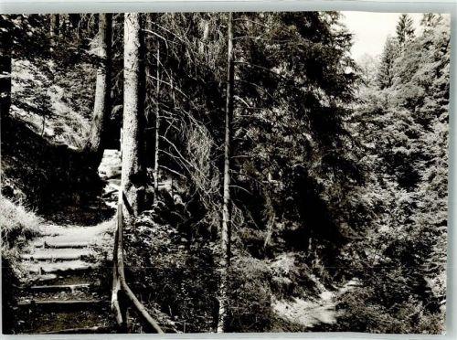 Wildberg