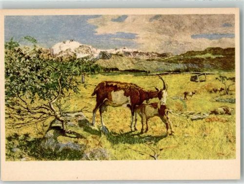 Ziegen Alpe di Maggio