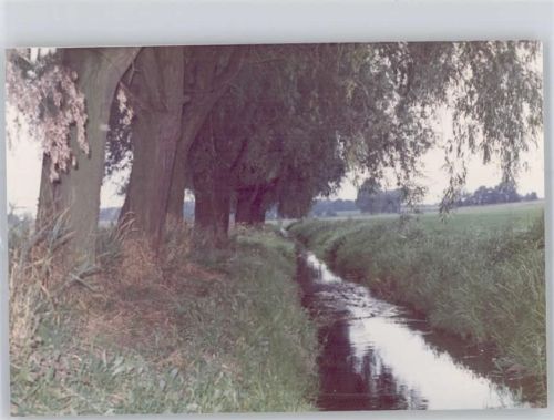 Rosche Fotoabzug