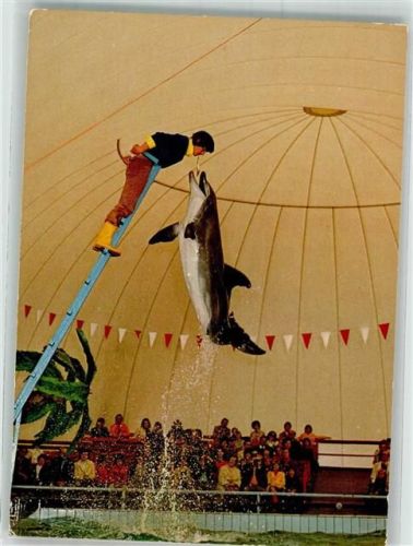 Groß-Gerau Delphin-Schau