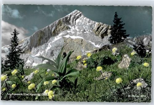 Kreuzeck, Alpspitze AKU1