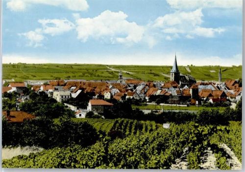 Freinsheim Gesamtansicht