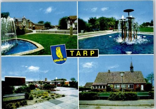 24963 W2399 Tarp - Tarp