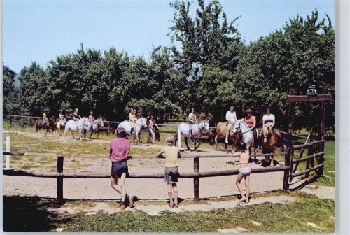 Hohenrode Ponyhof Gerda Schulze