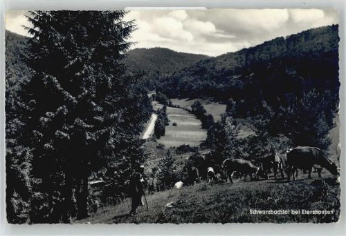 Eiershausen Schwarzbachtal, Kuh