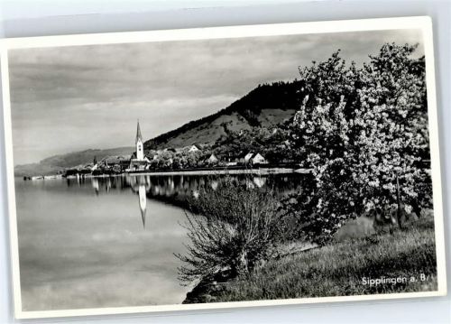 Sipplingen