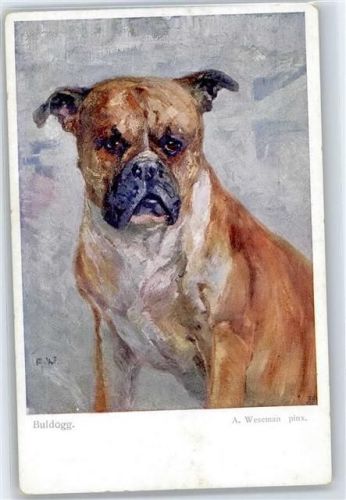 Weseman, A. , Buldogg