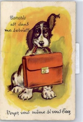 Camares Leporello, Hund mit Tasche