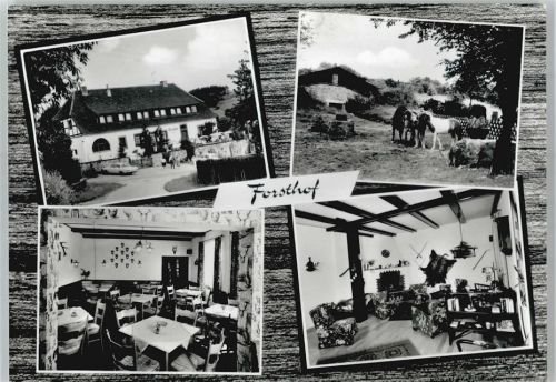 Würgassen Pension und Café "Forsthof"