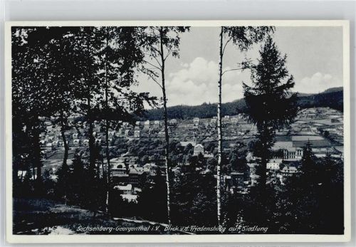 08248 O9650 Sachsenberg-Georgenthal - Blick von der Friedenshöhe auf Siedlung