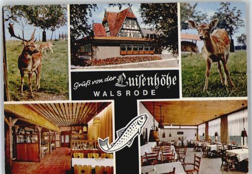 Walsrode Restaurant Luisenhöhe, Reh
