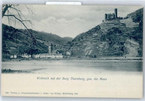 Wellmich Burg Thurnberg