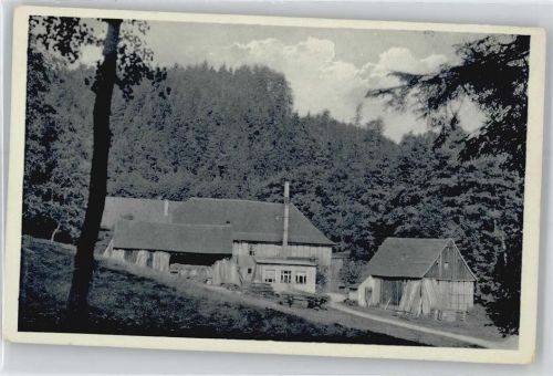 Eisenberg Sommerfrische Waldhaus Froschmühle im Mühltal