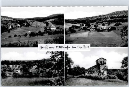 Wildensee Spessart