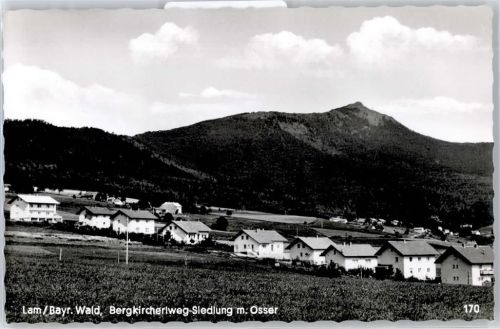 Lam Ortsansicht mit Osser