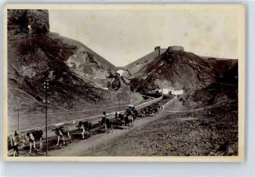 Aden Camel Caravanne