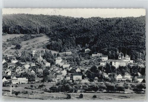 Bad König Blick auf das Kurviertel