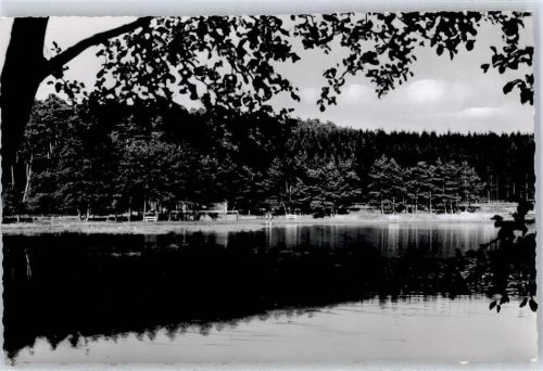 Usingen Hattstein-Weiher Schwimmbad