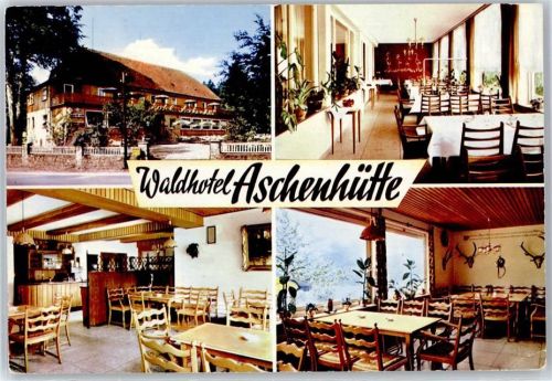 Aschenhütte Wald-Hotel