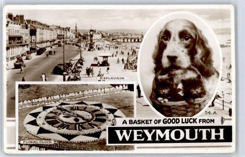 Weymouth A Basket of good luck