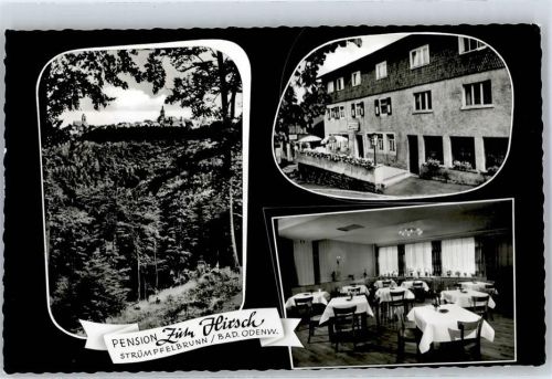 Strümpfelbrunn Pension zum Hirsch