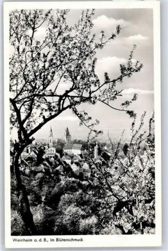 Weinheim Notopfer