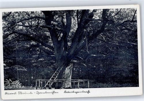 Malente-Gremsmühlen Kletterbaum