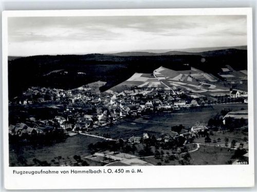 Hammelbach Fliegeraufnahme