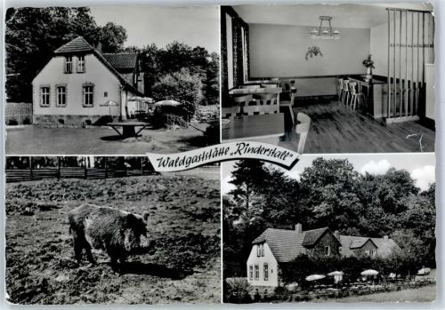 Münden Gasthaus Rinderstall