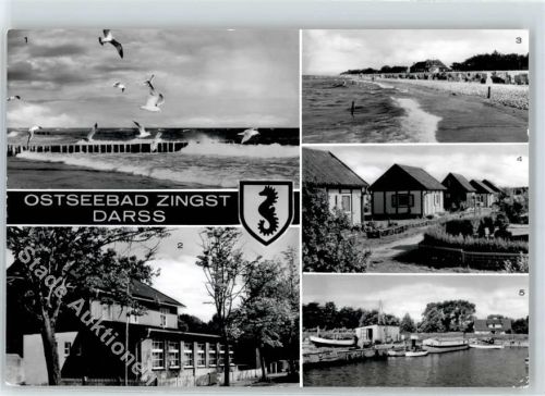 Zingst Möwen Strand Gasthaus Zum Heidelberger Fass