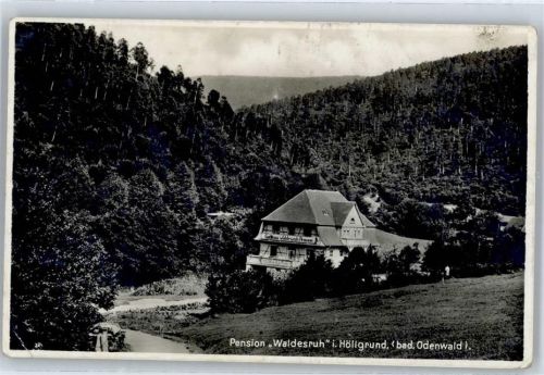 Gaimühle Pension Waldesruh