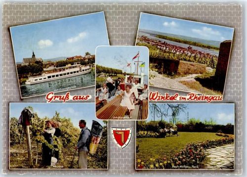 54558 W5569 Winkel (Eifel) - Weinlese