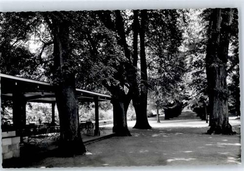 Braunfels Lindenallee im Herrengarten