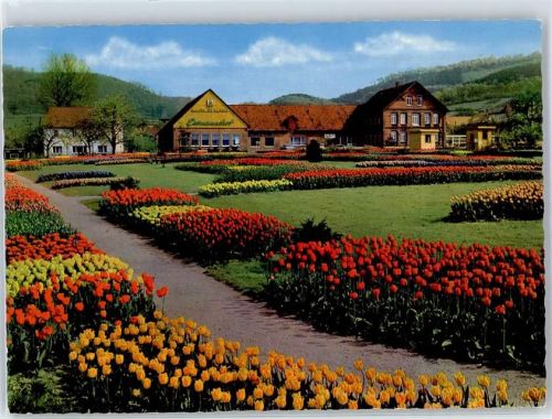 Deckbergen Tulpenhof Essmannshof AKU1