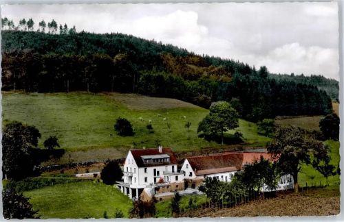 Unter-Sensbach 1956 Pension Haus Falkenberg
