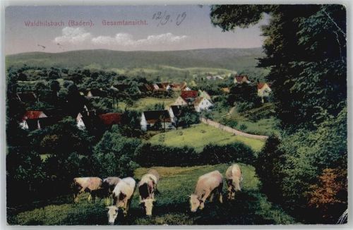 Waldhilsbach Blick auf Waldhilsbach