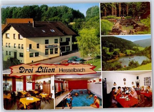 Hesselbach Gasthaus Pension Drei Lilien Schwimmbad