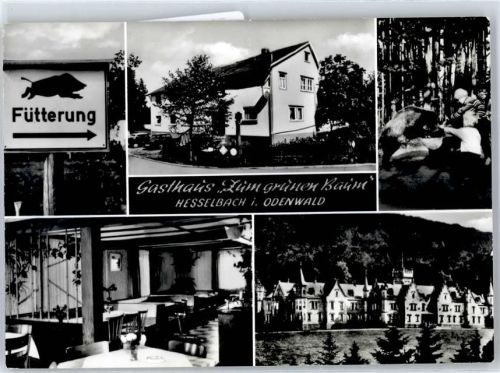 Hesselbach Gasthaus Zum grünen Baum
