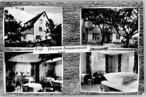 72175 W7242 Fürnsal - Cafe Pension Sommerwald